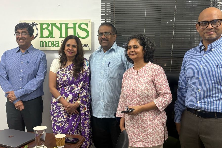 BNHS, JSW Collaborate To Raise Awareness On Pigeon Overpopulation